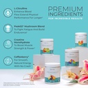 One Sol Pre-Workout for Women, Enhanced Pump & Focus, No Jitters Or Crash, Natural Ingredients, 100% Vegan, Gluten Free & Soy Free, (Mango Guava) 5