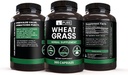 Pure Original Ingredients Wheat Grass (365 Capsules) No Magnesium Or Rice Fillers, Always Pure, Lab Verified 5