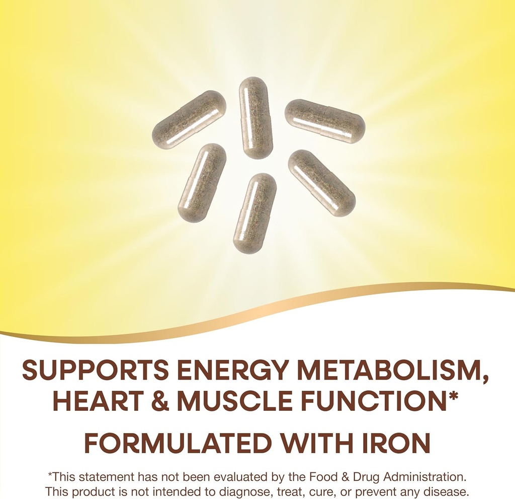 Nature's Way Alive! Max6 Potency Adult Complete Multivitamin, with Iron, Vitamins A, C, E & B-Vitamins Including Methylated B12 & Folate, Supports Energy Metabolism*, 90 Capsules (Packaging May Vary) 4