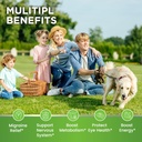 Vitamin B2 Gummies, Riboflavin 400mg Supplement with Magnesium Glycinate & CoQ10 for Adults & Kids, Support Migraine Relief & Nervous System, Boost Energy, Sugar Free Vegan B2 Gummies Lemon Flavor 5