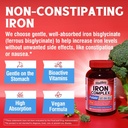 Iron Supplement for Women & Men, with Vitamins C, B6, B12 & Folate for Iron Deficiency, Blood Building & Energy Support, Stomach Friendly, Better Absorption, Non-GMO, No Gluten, 30 Vegan Caps 5