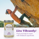 Imlakesh Organics Sacha Inchi Protein, Powder (12oz Metal Jar) 3