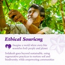 Imlakesh Organics Sacha Inchi Protein, Powder (12oz Metal Jar) 4