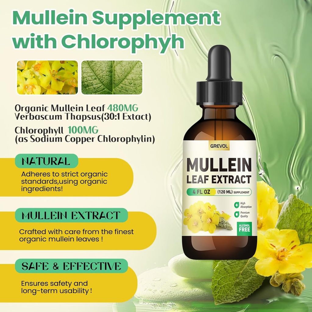 Mullein Drops for Lungs Supplement: Organic Mullein Leaf 30:1 Extract Tincture with Chlorophyll - Herbal Supplement Support Lung Cleanse & Respiratory Function - Non-GMO, Vegan - 4 Fl Oz 4