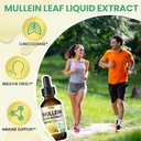 Mullein Drops for Lungs Supplement: Organic Mullein Leaf 30:1 Extract Tincture with Chlorophyll - Herbal Supplement Support Lung Cleanse & Respiratory Function - Non-GMO, Vegan - 4 Fl Oz 6