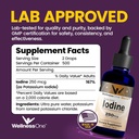 WellnessOne Iodine Drops for Thyroid Support - Fast Acting Liquid Iodine Supplement from Potassium Iodide - Great for Immunity & Cognition & Maximizes Iron Absorption - 1.67 fl oz 3