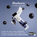 Korean Collagen Jelly Sticks - 25 Blueberry Flavored Marine Collagen Peptide Snacks for Anti-Aging- Collagen Protein Sugar-Free, Travel Packs for Hair & Nail Strength 4