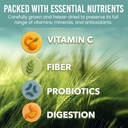 Holistic Bin Organic Barley Grass Juice Powder - 100% Pure USDA Organic - Fermented with 35 Probiotic Strains - Nutrient-Dense Green Superfood for Smoothies - Supports Digestion - 30 Day Supply (50g) 5