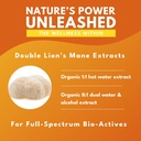 Bold Botanica Lion’s Mane Mushroom Capsules - 100% Fruiting Body – Concentrated Organic Lion’s Mane Extracts – Nootropic Brain Health – Memory, Mood, Immune Support – 60 Vegan Capsules 5