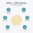 Dr. Fuhrman Vegan Omega 3 | Vegan DHA+EPA Purity Liquid Supplement | Made from Lab-Grown Algae | Our Omega 3 Supplement is Refrigerated in Warehouse Until Shipped | Citrus Flavor 60 Servings 3