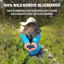 Jungle Powders Wild Bilberry Extract Organic Blueberry Powder USDA Organic Raspberry Powder Bundle Blueberries Raspberries Powdered Whole Berry for Baking Bilberry Supplement for Eyes 6