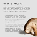 Quality of Life AHCC Kinoko Platinum Mushroom Extract and Immuno Complex Featuring Vitamin C - Ultimate Immune Support Bundle 6