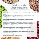 Ora Organic Vegan Protein Powder - 23g Plant-Based Protein Powder for Women and Men | Clean Protein Source, Keto Friendly, Gluten Free, Paleo, Dairy-Free, Soy-Free - Vanilla Chai - 20 Servings 4