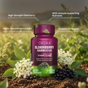 ORZAX Elderberry Capsules - Immune Support Supplement with Elderberry Vitamin C and Zinc - Antioxidants Supplement for Women and Men (60 Vegetable Capsules) 4