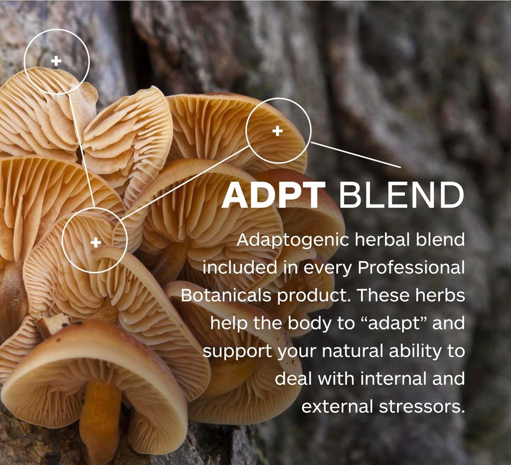 Professional Botanicals Tense-X - Natural Vegan Stress Support Supplement, Helps The Body to Achieve Mental and Physical Relaxation - 60 Vegetarian Capsules 4