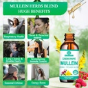 Mullein Drops for Lungs, Organic Mullein Leaf Extract w/Elderberry Echinacea Drops for Lung Health Mullein Leaf Tincture Alcohol Free - Lung Detox for Smoker Sinus Immunity & Respiratory Support 5