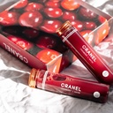 CRANEL UTI Support Cranberry Elixir, 4X Bottles (Monthly Supply) Clinically-Proven & Antibiotic-Free, Packed with 3,000 Real Cranberries (Tart Taste) Vegan & Non-GMO, Zero Added Sugar 4