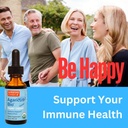 Agaricus Bio Super Liquid, Natural Killer Cell Activity, Organic Mushroom Extract, Agaricus Blazei Murill Mushroom, Tincture Drops with High Beta Glucans, Liver and Immune Support Supplement, 30 ml 3