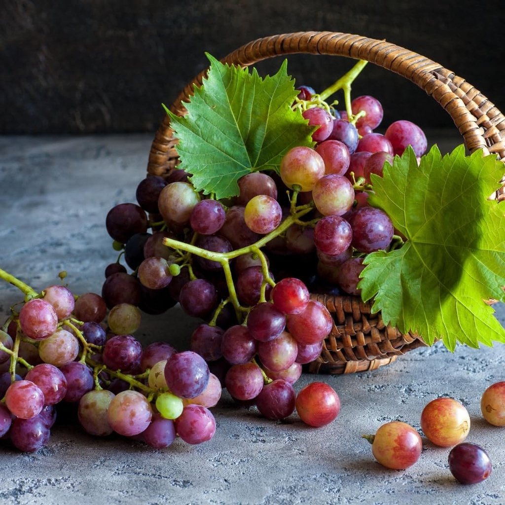 PURE ORIGINAL INGREDIENTS DHM, (365 Capsules) No Magnesium Or Rice Fillers, Always Pure, Lab Verified 6