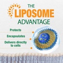 LABO Nutrition Liposomal Vitamin D3, High Potency Vegan-Sourced for Optimal Absorption, Sustained Release, 470% Bioavailable, Boost Immunity, Bone & Brain Health, 240 Days Supply, Non-GMO, Gluten Free 6