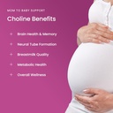 Mother's Promise Prenatal Gummies & Choline Capsules Bundle 6