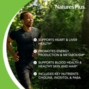Natures Plus Super B50-90 Vegetarian Capsules - High Potency B Complex Vitamin Supplement - Brain & Energy Booster - Gluten-Free - 90 Servings 5