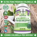 FRESH HEALTHCARE Chlorella and Black Seed Oil - Bundle 3