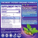 Potassium Magnesium Gummies - Potassium Supplement w/Ashwagandha 200mg, Magnesium Glycinate,B6,B12,P-otassium Citrate for Leg Cramps,Muscle,Electroyte for Adults Kids,Sugar-Free, 2 Pack 3