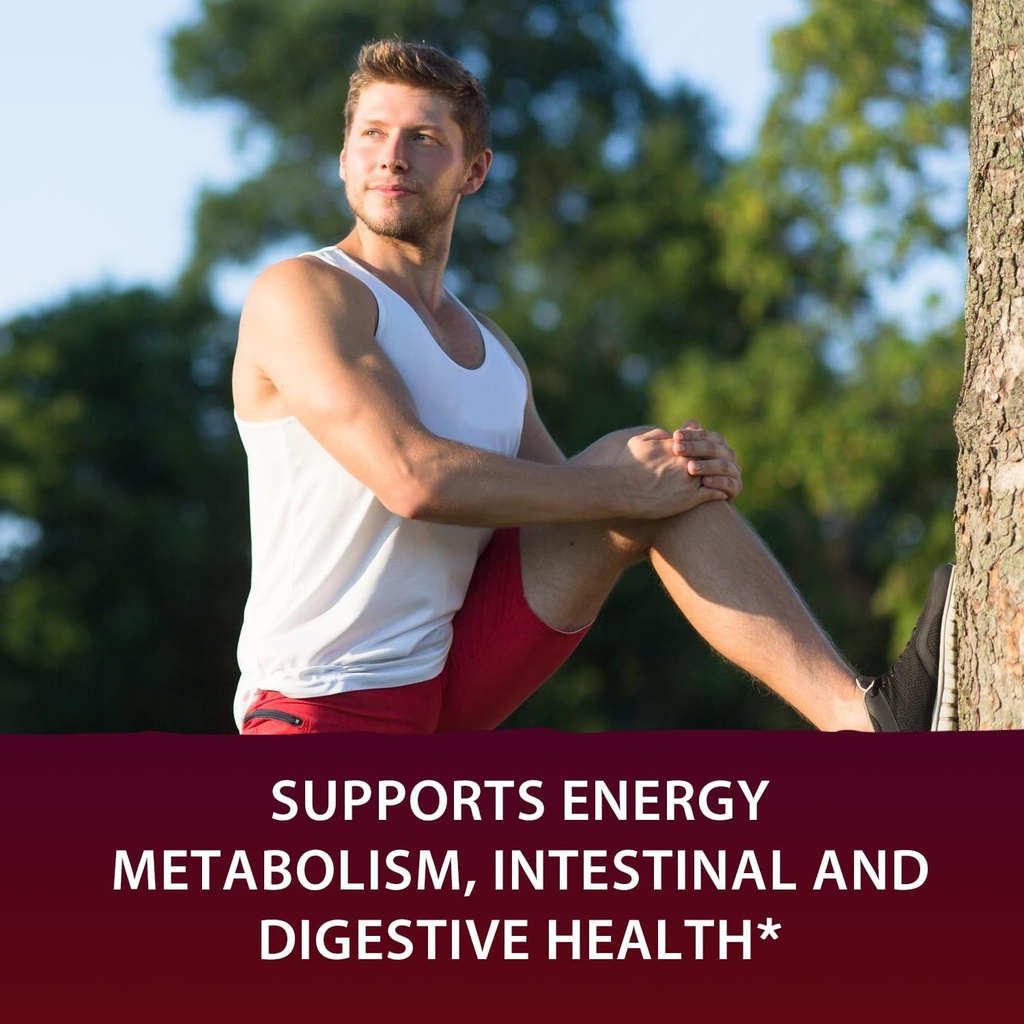 Vitamin B12 and Probiotics 50 Billion Bundle, Methylcobalamin 5000mcg for Energy Production, with Organic Prebiotics, Digestive & Immune Support, B12 Tablets 90 ct & Probiotics Capsules 60ct 5