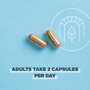 Ancient Nutrition Regenerative Organic Certified SuperFruits Capsules, Supports Gut and Immune System Health, Made with Probiotics, Dragonfruit, Mulberry, and Goji, 60 Count 5