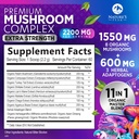 Mushroom Supplement Powder 2200mg - 11 in 1 Complex Formula Powder with Organic Lions Mane, Reishi, Cordyceps, Chaga, Turkey Tail Mushroom Extract Supplement for Memory & Brain Support - 60 Servings 3