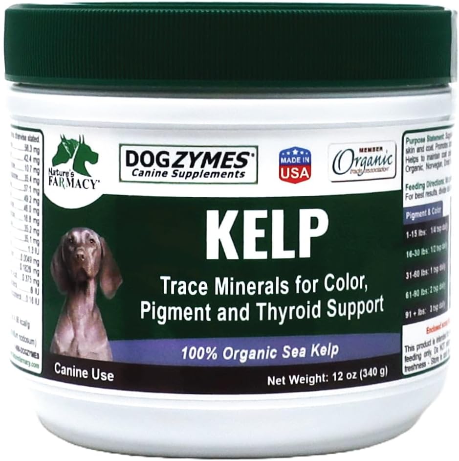 Dogzymes Organic Norwegian Kelp for Pets, a Valuable Nutrition Source Rich in Iodine to Support Gland Function, Especially The Thyroid (12 Ounce) 2