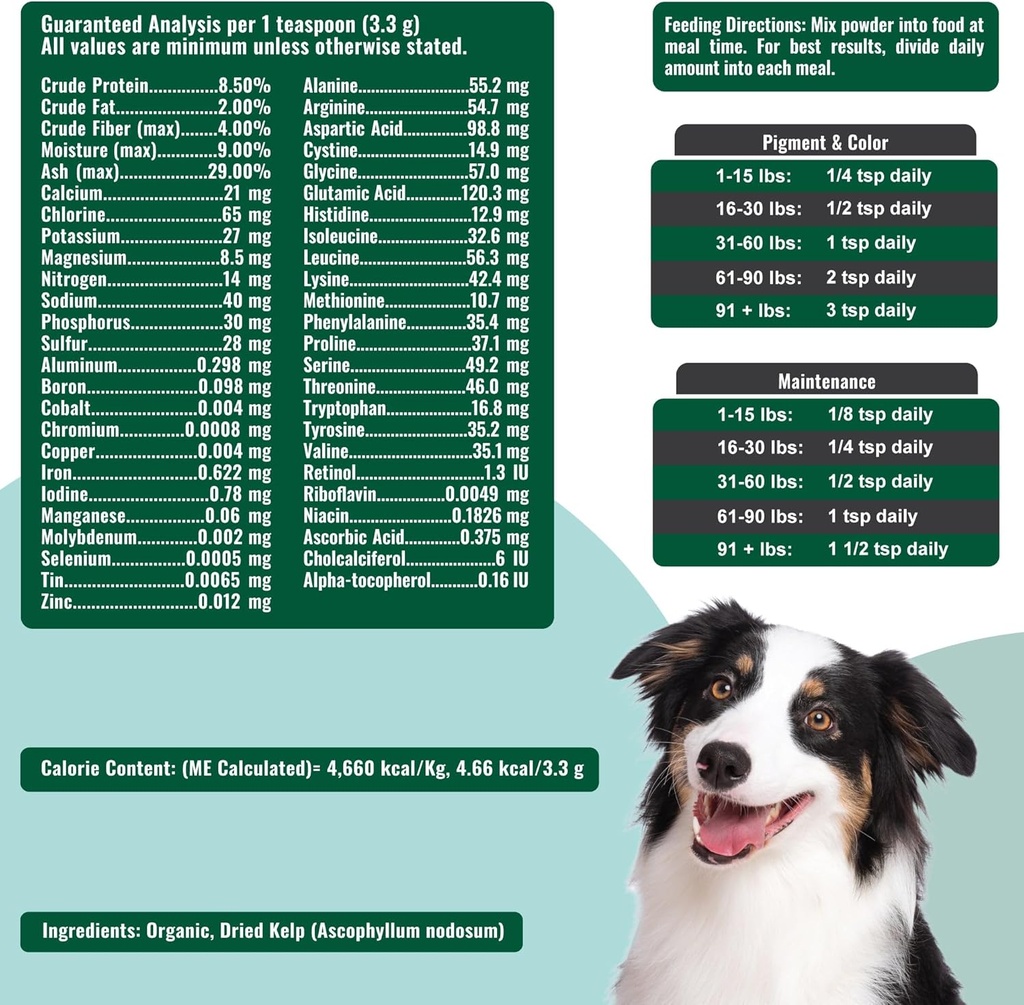 Dogzymes Organic Norwegian Kelp for Pets, a Valuable Nutrition Source Rich in Iodine to Support Gland Function, Especially The Thyroid (12 Ounce) 4