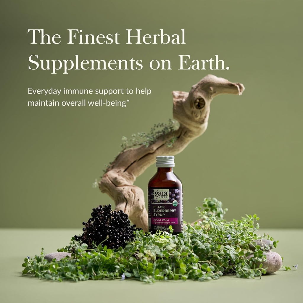 Gaia Herbs Black Elderberry (Sambucus Nigra) Syrup Adult Daily - Immune Support Supplement - with USDA Certified Organic Black Elderberries for Immune System Support - 3 Fl Oz (9-Day Supply) 3