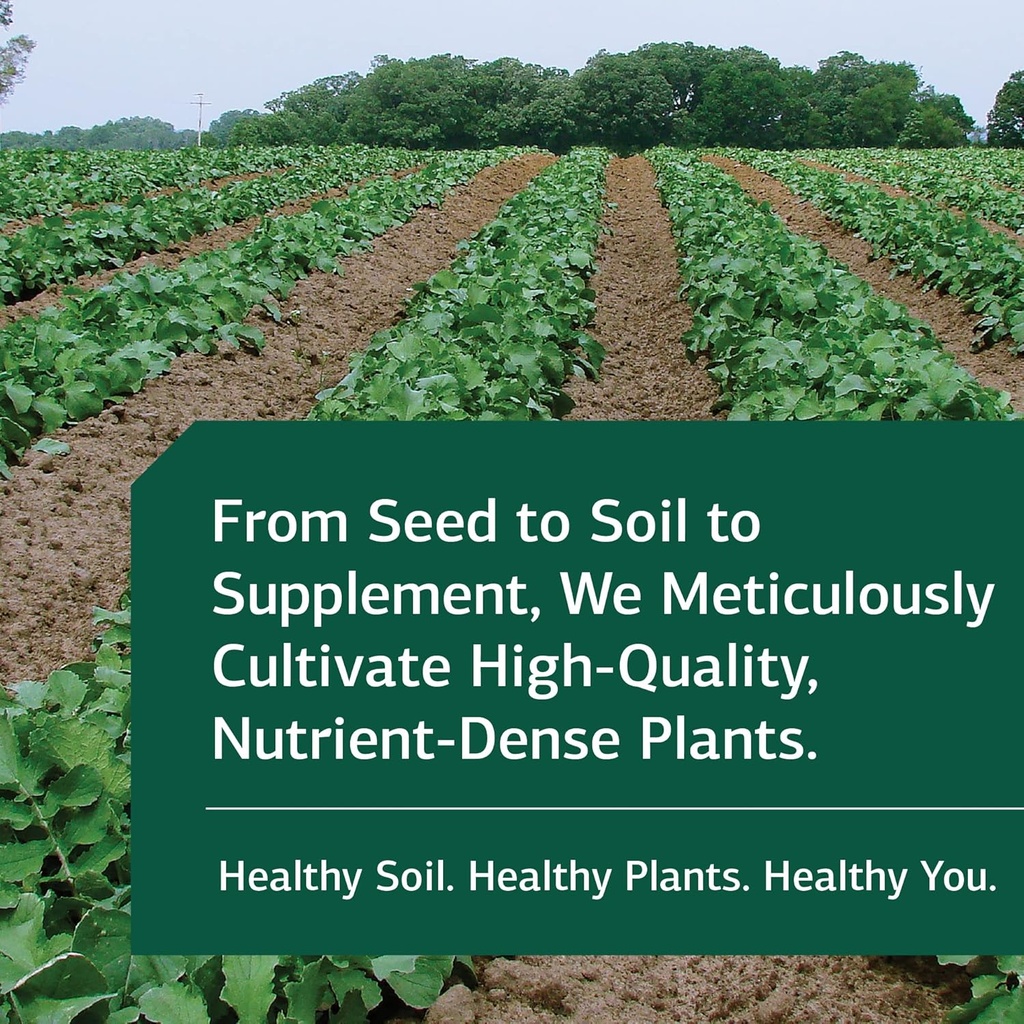 Standard Process Drenamin - Adrenal Function Supplement for Healthy Stress Response - Supports Healthy Energy Production & Metabolism - Gluten-Free, Non-Dairy & Non-Soy - 270 Tablets (270 Servings) 5