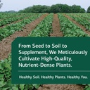 Standard Process Drenamin - Adrenal Function Supplement for Healthy Stress Response - Supports Healthy Energy Production & Metabolism - Gluten-Free, Non-Dairy & Non-Soy - 270 Tablets (270 Servings) 5