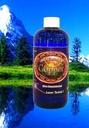 Silver Mountain Minerals Colloidal Copper Liquid Mineral Supplement 16 Oz. 100 PPM 2