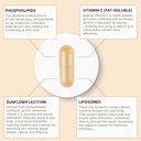 Liposomal Vitamin C 2100mg | 180 Veggie Capsules, 60 Day Supply | Fast Absorbing Bioavailability | Powerful Antioxidant & Immune Support Supplement 6