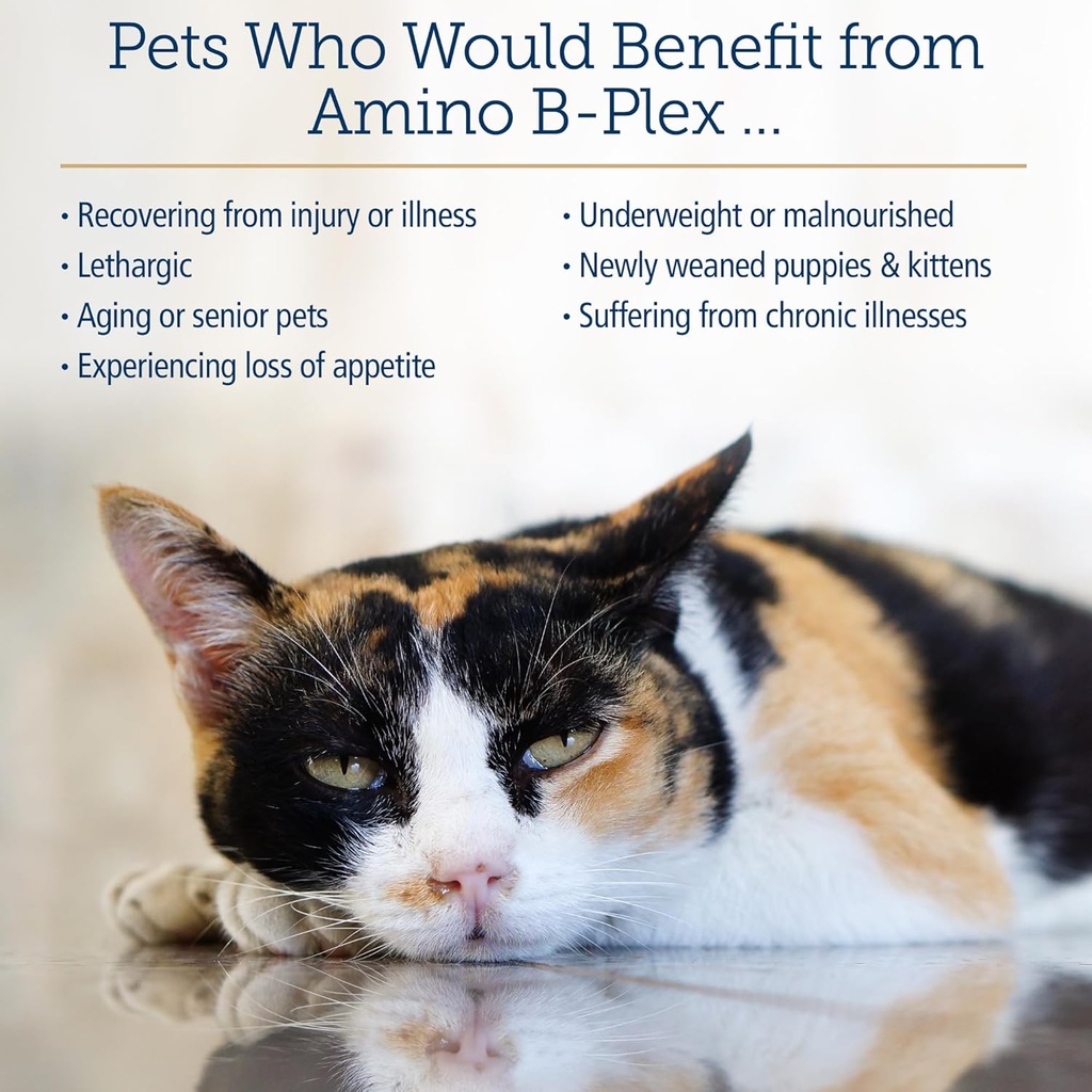Rx Vitamins Amino B Plex Cat & Dog Supplement - Vitamin B Complex Liquid Plus Amino Acids for Dogs & Cats - Appetite Booster and Weight Gainer Cat & Dog Vitamins - 4 oz 5