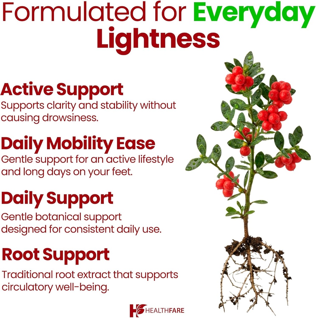 Healthfare Butchers Broom Supplement | Capsules Extract 2400mg | 120 Vegetarian Pills | Premium Herbal Root Supplement | Circulation & Vein Support | Non-GMO, Gluten-Free | Made in USA 6