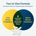 Researched Nutritionals Mast Cell Support Duo - HistaQuel to Supports Normal Histamine Production (120 Capsules) & Multi-Biome Multi Strain Probiotic for Immune & Histamine Support (30 Capsules) 6