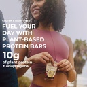 Laird Superfood Functional Protein Bars – Protein Bar but Better with Real Ingredients, Functional Mushrooms 10g Plant-Based Protein, 6g Fiber - Non-GMO - Peanut Butter Chocolate Chip, 10 Count (Pack of 1) 6