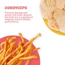 Silver Star Nutrition, Roots Focus Nootropic Brain Supplement - Strawberry Watermelon & Spicy Pineapple- Lion's Mane, Cordyceps, & Reishi Functional Mushrooms + Extended-Release Caffeine, 100 Servings 5