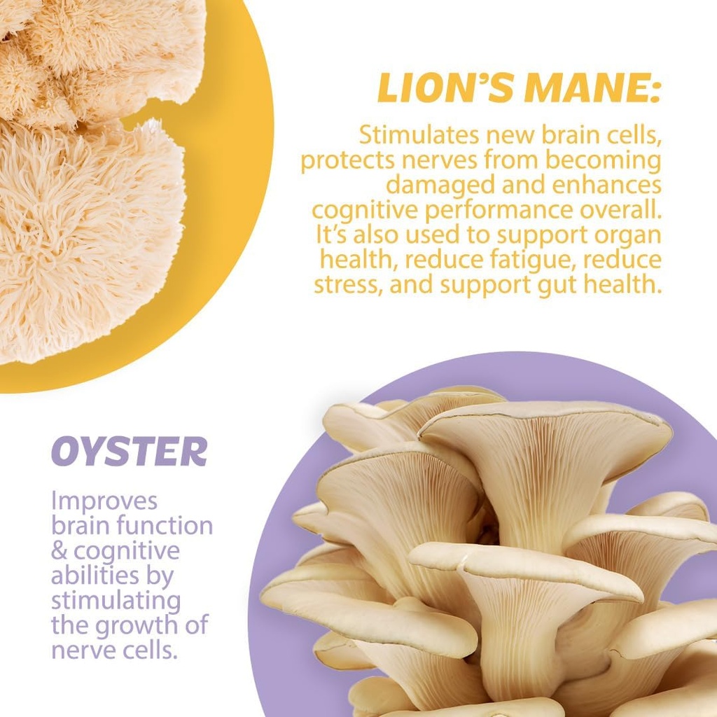 Silver Star Nutrition, Roots Focus Nootropic Brain Supplement - Strawberry Watermelon & Spicy Pineapple- Lion's Mane, Cordyceps, & Reishi Functional Mushrooms + Extended-Release Caffeine, 100 Servings 6