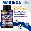 Organic Cadane Moringa Leaf with Turmeric, Boswellia, Quercetin, Ceylon Cinnamon, Holy Basil, Ginger, and Black Pepper - 8in1 Supplements - 90 Veggie Capsules for 3-Month Supply 6