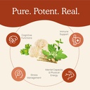 Real Mushrooms RealClarity (60ct) and 5 Defenders (90ct) Capsules Bundle - Mushroom Supplement for Mental Clarity, Focus & Immune Strength - Vegan, Non-GMO, Verified Levels of Beta-Glucans 5