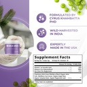 Amla Powder & Immunity Blend Superfood Supplement with Elderberry, 20x Ultra Concentrated Amla, Immune Support, Made with Ginger, Cinnamon, Peppermint, Indian Gooseberries, Immunity, 90 Servings 3