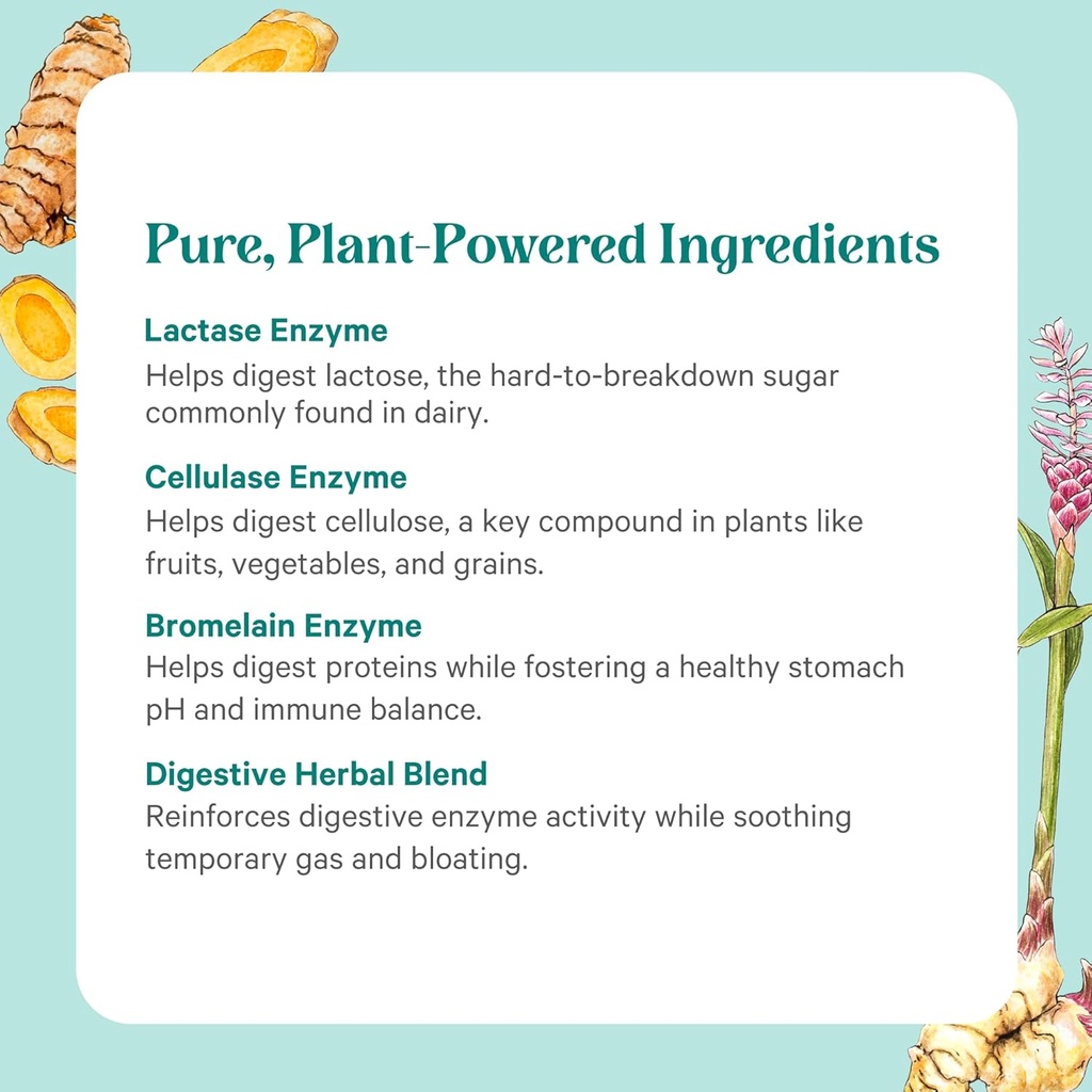 PURE SYNERGY Enzyme Power | Digestive Enzyme Supplement | Digestive Health Enzymes with Nattokinase, Bromelain, and Serrapeptase | for Digestive and Gut Health (90 Capsules) 6