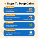 Venture Pal Calming Powdered Drink Mix, Magnesium Glycinate, Ashwagandha, L-Theanine,Vitamin D, Lions Mane, Sugar Free Magnesium Supplement Blend for Relax & Focus, Non GMO, Vegan, On The Go 5