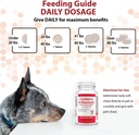 Cranberry D-Mannose Urinary Tract Supplement for Dogs & Cats – Bladder & UTI Health Support – Cranberry Extract, D-Mannose & Vitamin C–Promotes Urinary Wellness & Kidney Function – 60 Chewable Tablets 5
